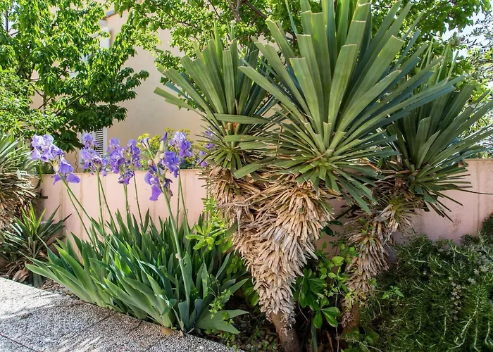 Maria In Der Naehe Des Strandes By Interhome Apartment Šilo